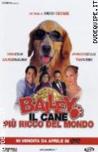 Bailey Il Cane Pi Ricco Del Mondo