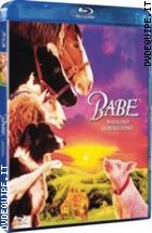 Babe - Maialino Coraggioso ( Blu - Ray Disc )