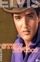 Stella Di Fuoco