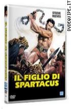 Il Figlio Di Spartacus