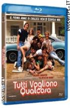 Tutti Vogliono Qualcosa ( Blu - Ray Disc )