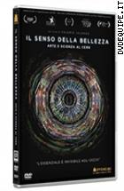 Il Senso Della Bellezza - Arte E Scienza Al CERN