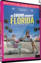 Un Sogno Chiamato Florida
