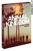 Animal Kingdom - Stagione 1 (3 Dvd)