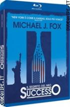 Il Segreto Del Mio Successo ( Blu - Ray Disc )