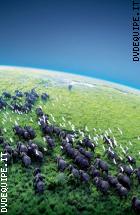 Planet Earth (Pianeta Terra) - Edizione Speciale (BBC Heart) (4 Dvd)