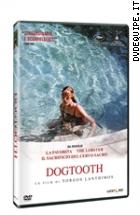 Dogtooth