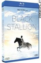 Black Stallion ( Blu - Ray Disc )