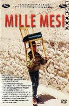 Mille Mesi