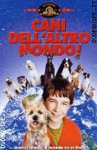 Cani Dell'altro Mondo