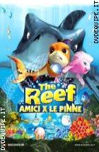 The Reef Amici Per Le Pinne