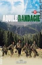 Aquile Randagie