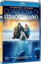 Qualcosa Di Straordinario ( Blu - Ray Disc )