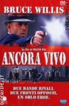 Ancora Vivo