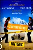 Sunshine Cleaning - Non C'è Sporco Che Tenga
