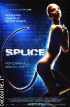 Splice