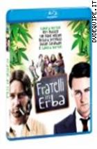 Fratelli In Erba ( Blu - Ray Disc)