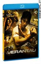 Merantau ( Blu - Ray Disc )