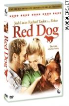 Red Dog