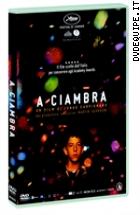 A Ciambra