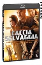Caccia Selvaggia ( Blu - Ray Disc )