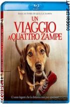 Un Viaggio A Quattro Zampe ( Blu - Ray Disc )