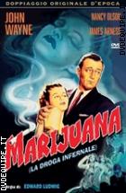 Marijuana - La Droga Infernale