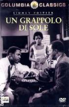 Un Grappolo Di Sole