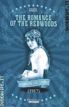 The Romance Of The Redwoods