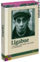 Ligabue (3 Dvd)