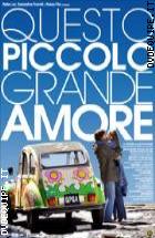 Questo Piccolo Grande Amore