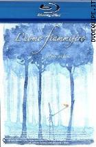 L'uomo Fiammifero ( Blu - Ray Disc )