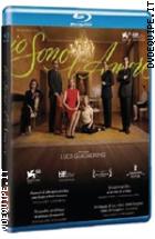 Io Sono L'amore ( Blu - Ray Disc )