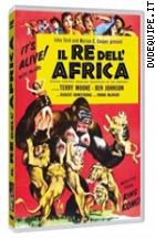 Il Re Dell'africa