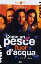 Come Un Pesce Fuor D'acqua