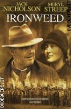 Ironweed