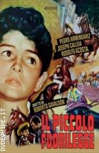 Il Piccolo Fuorilegge (Cineclub Classico)