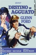 Destino In Agguato (Cineclub Mistery)
